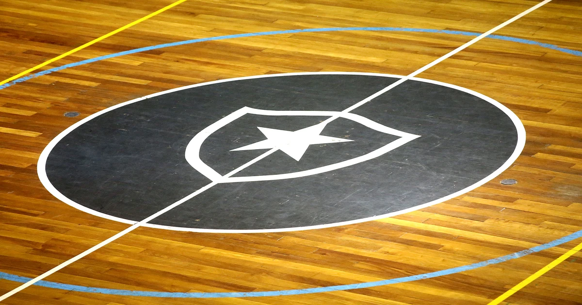 Botafogo associativo tenta levar parte de dinheiro que virá de GDA e Lyon para social e esportes amadores, diz canal; há temor interno