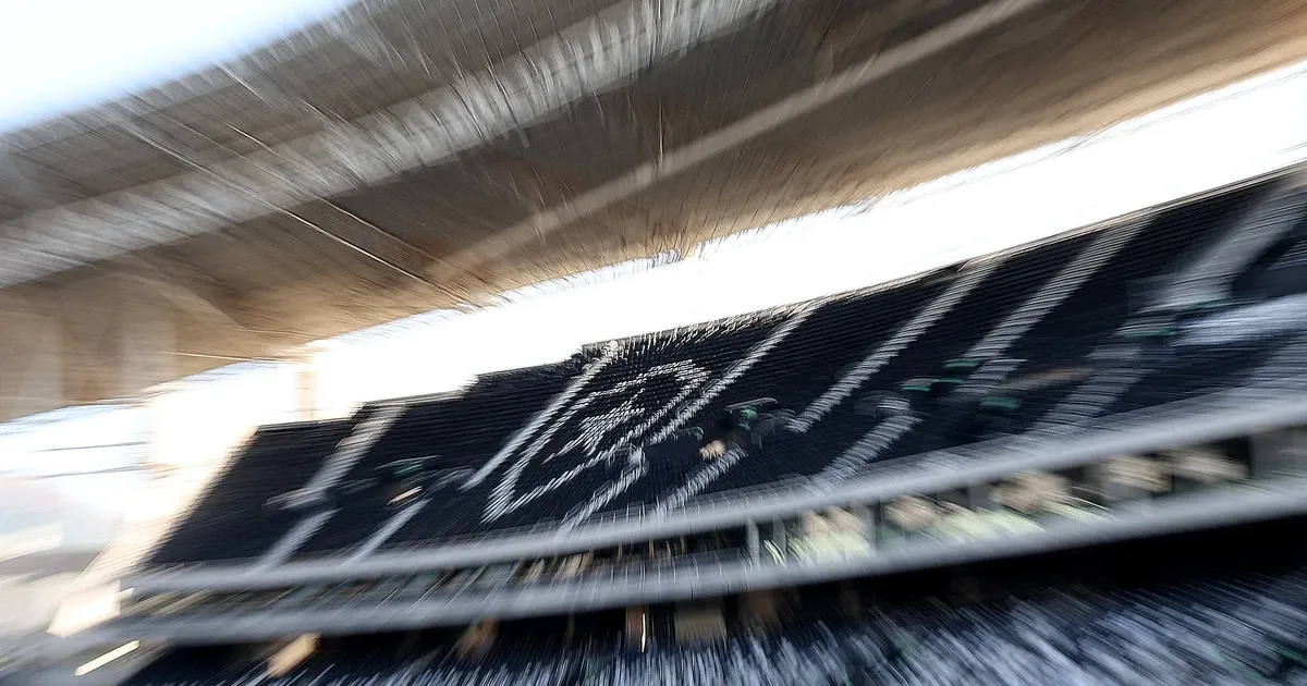 Botafogo comunica a juiz da recuperação judicial nova composição da SAF após acionar bônus de subscrição e emitir novas ações