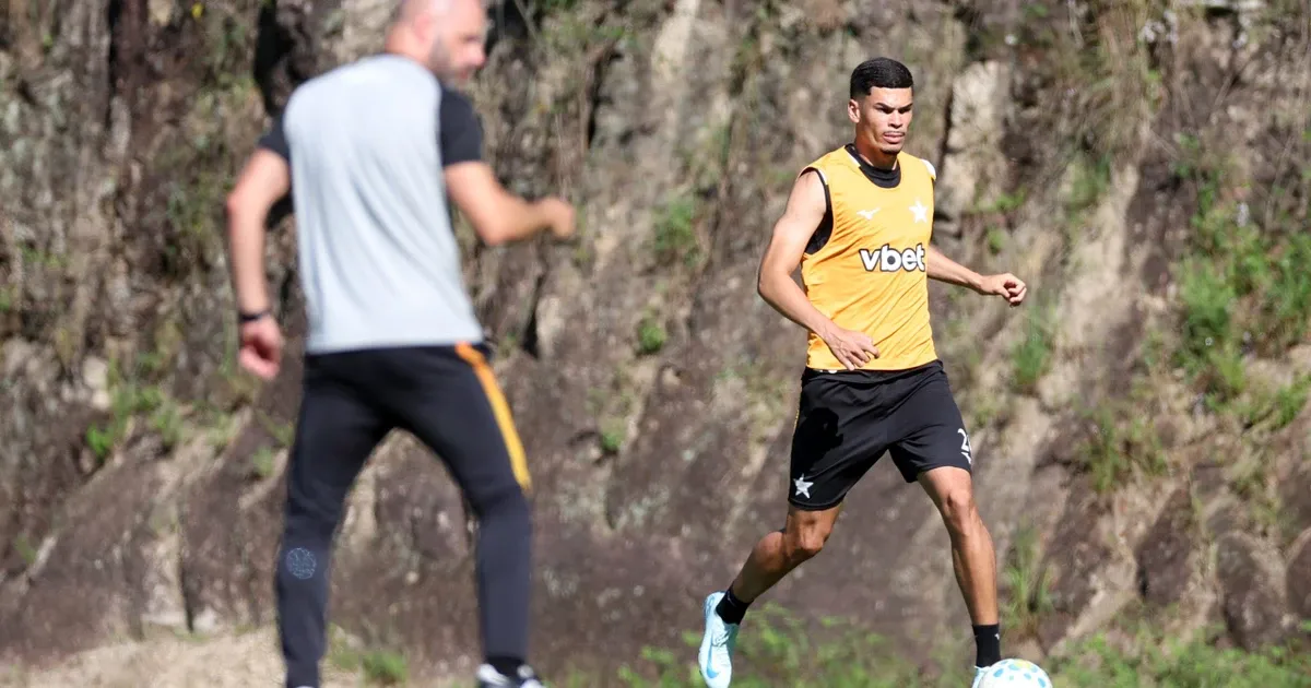 Botafogo tem apenas três zagueiros disponíveis e pode buscar dois reforços para a posição