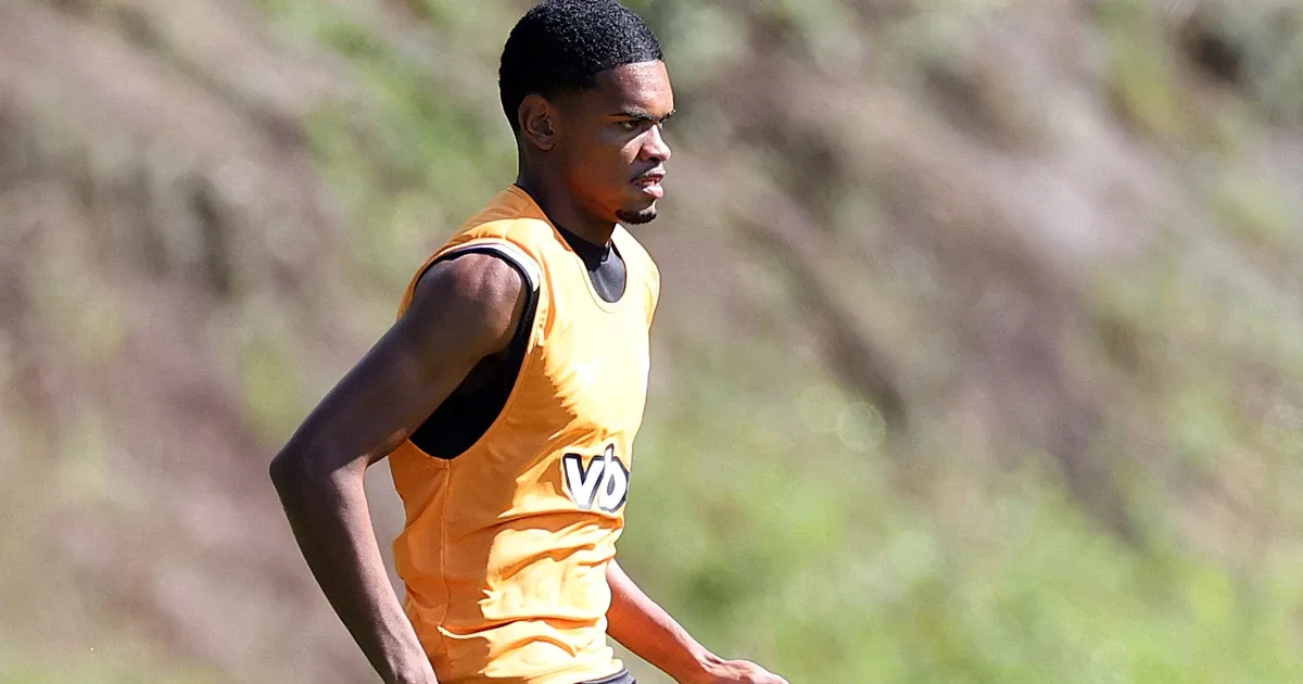 Com nove joias do bairro e sem Arthur Cabral, Botafogo divulga relacionados para enfrentar o Santos